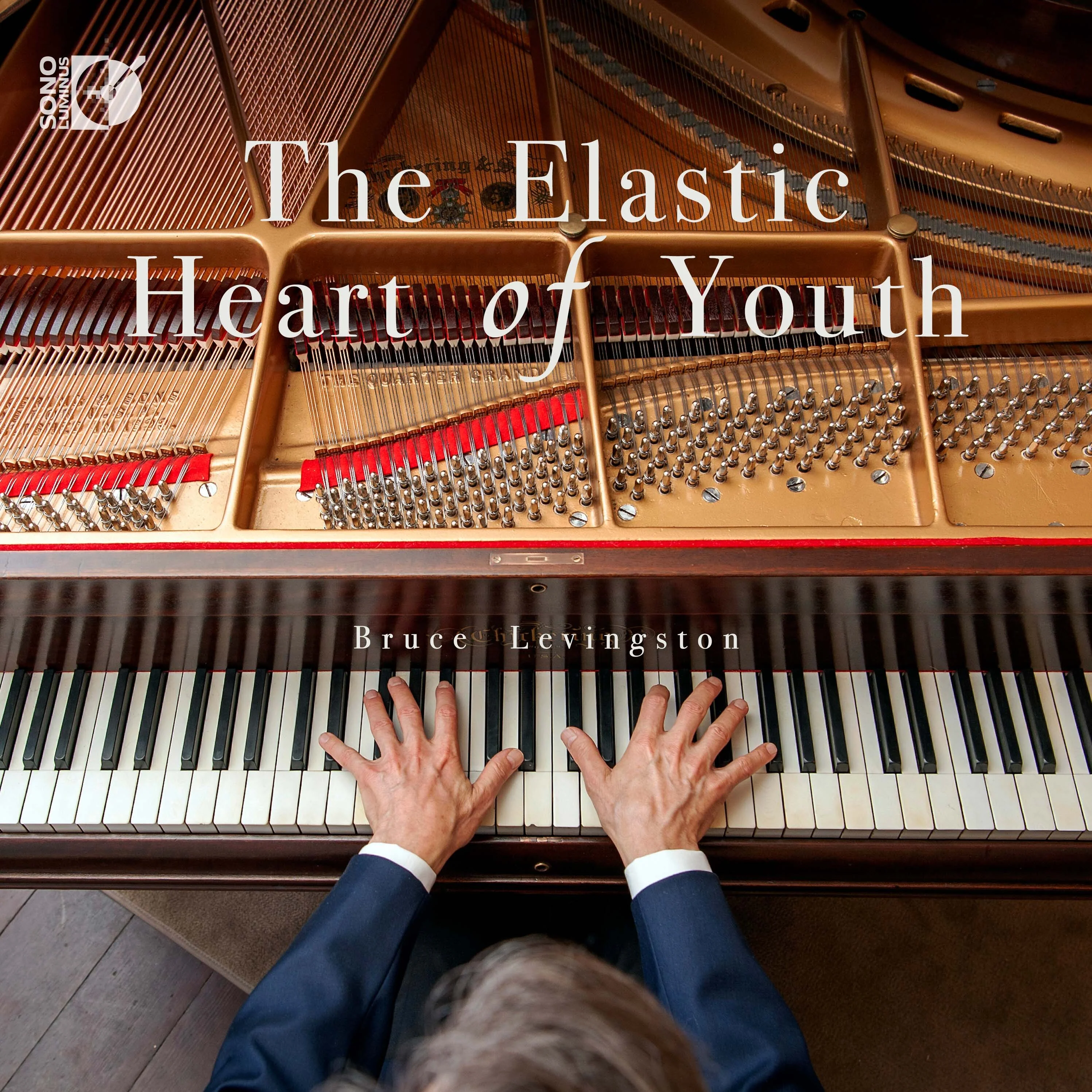 The Elastic Heart of Youth