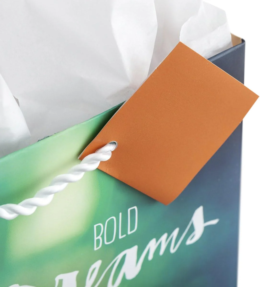 Bold Dreams Bright Future - Medium Gift Bag - Image 2