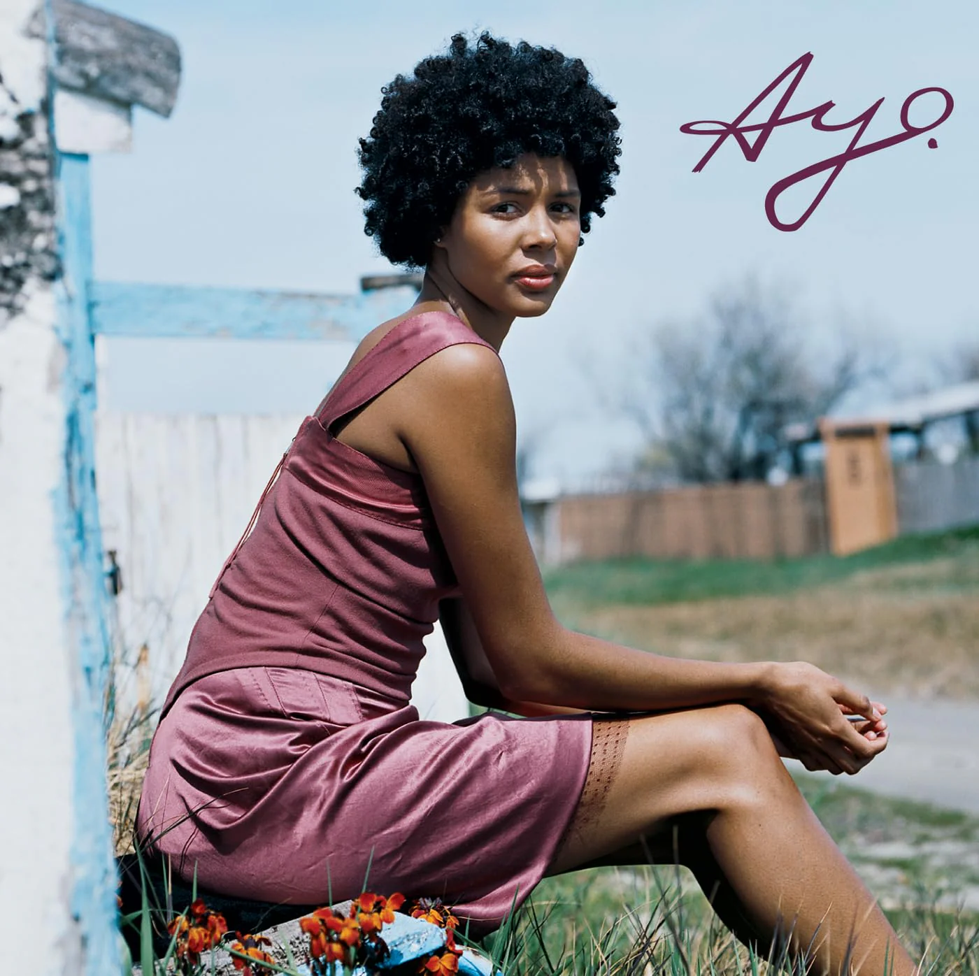 Ayo - Joyful (2 Lp)