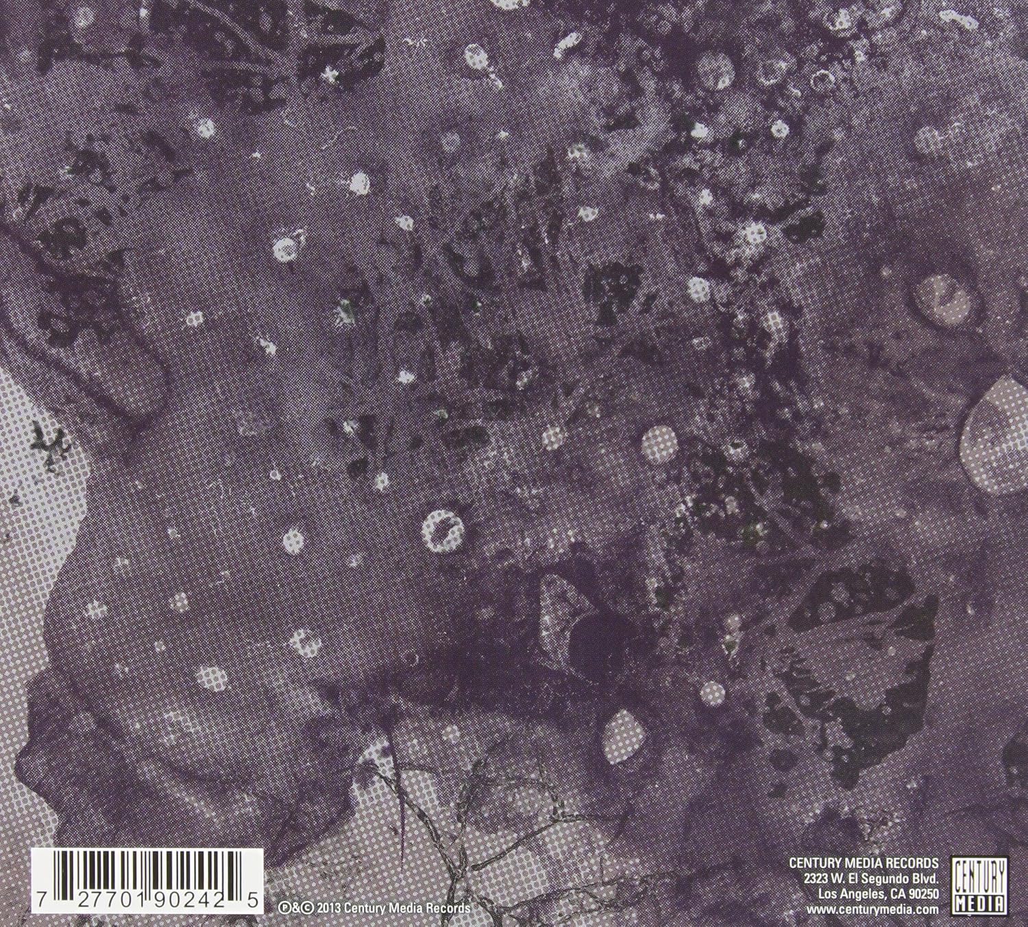Razed to the Ground - Image 2