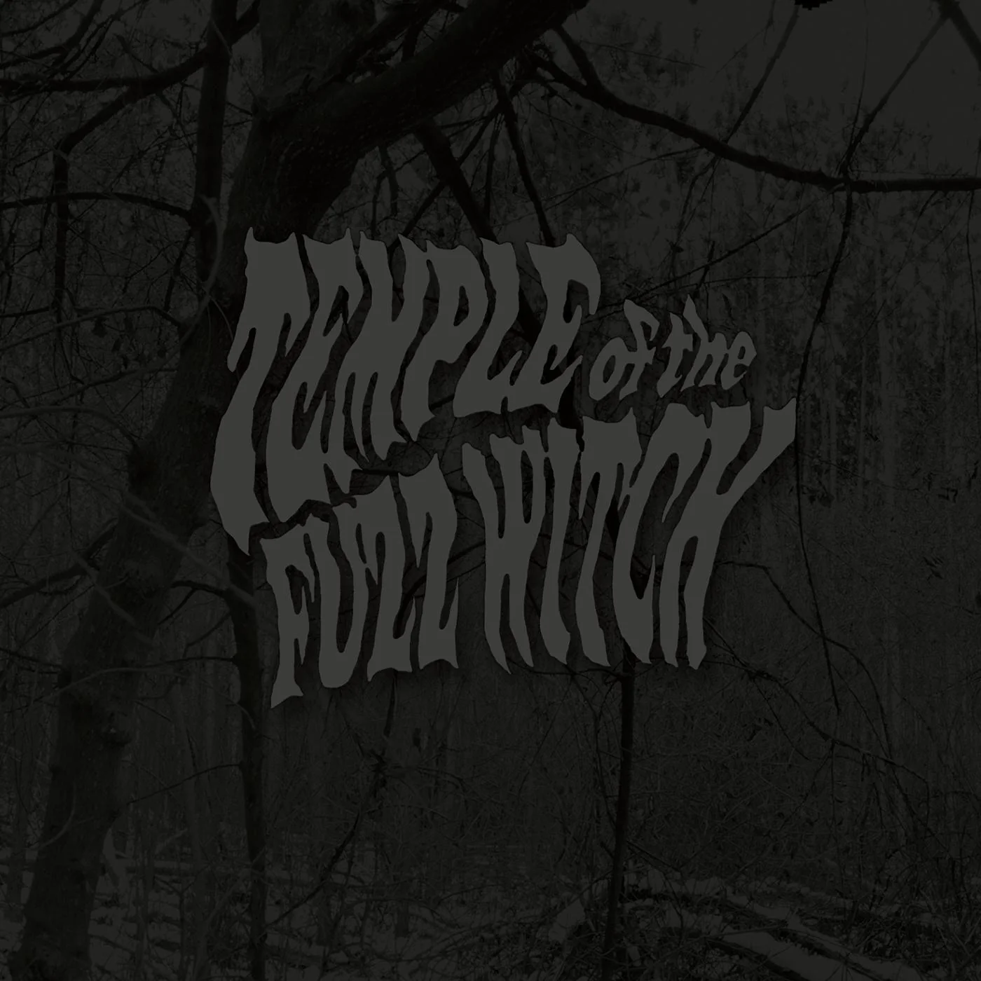 Temple of the Fuzz Witch