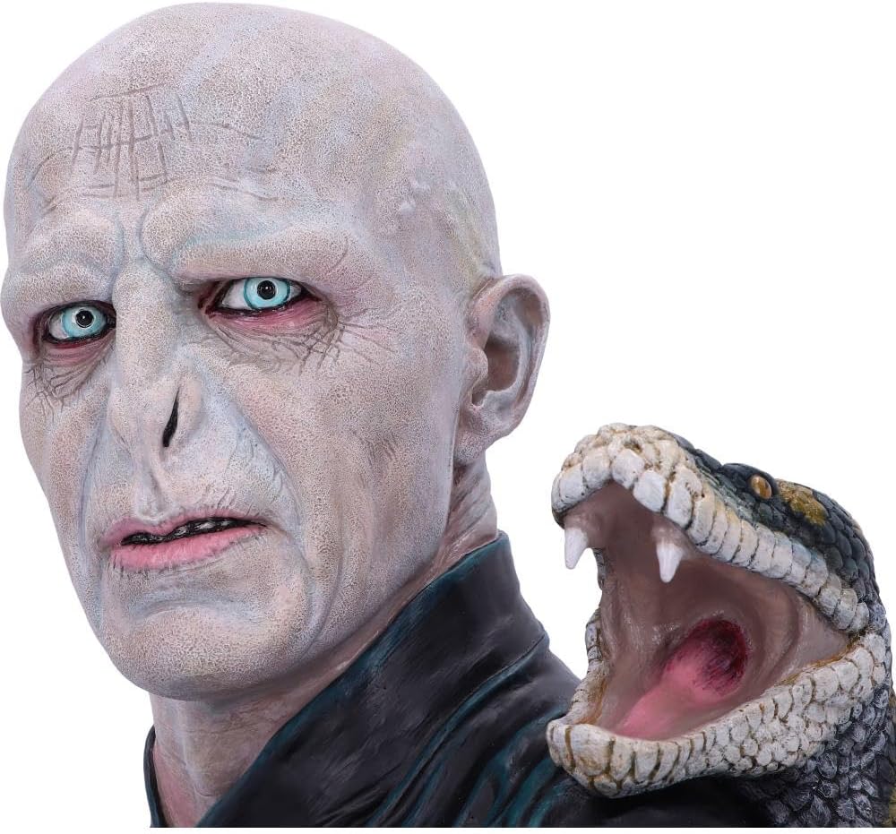 Nemesis Now Harry Potter Lord Voldemort-Busto 30,5 cm, Multicolore (B5792U1 - Image 7