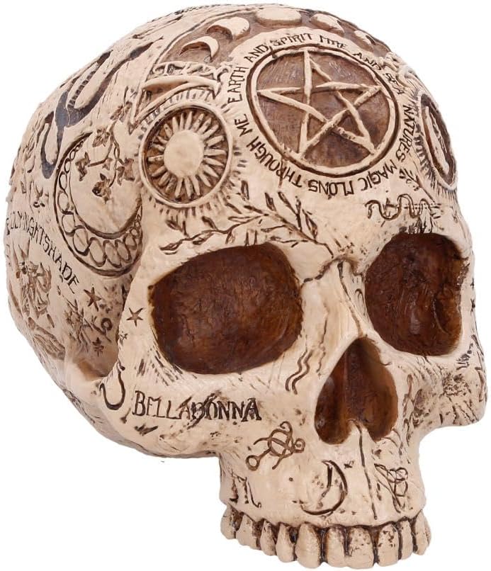 Apothecary Skull Figurine – Occult Gothic Decorative Skull Ornament - Image 2