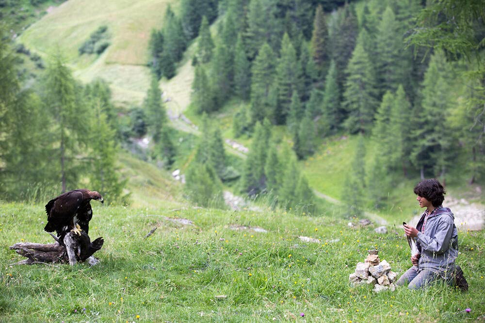 L'aigle et l'enfant - Image 2