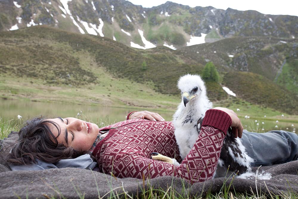 L'aigle et l'enfant - Image 5