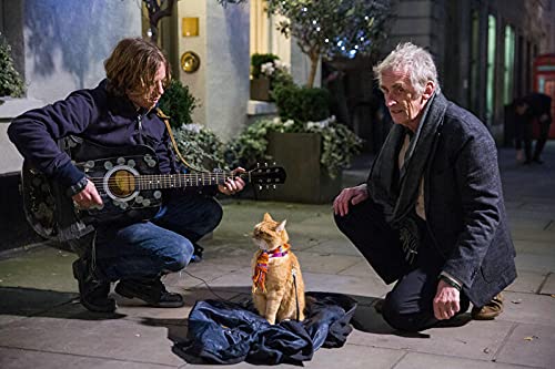Un chat pour la vie - Image 6