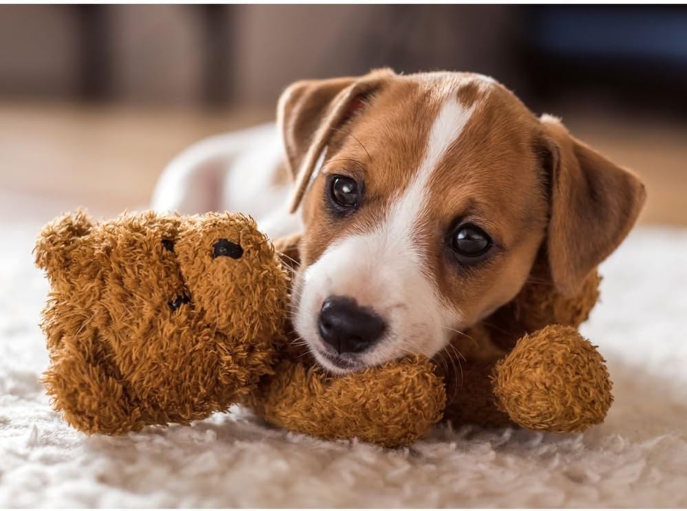 Cuddly buddies (500) - Image 2