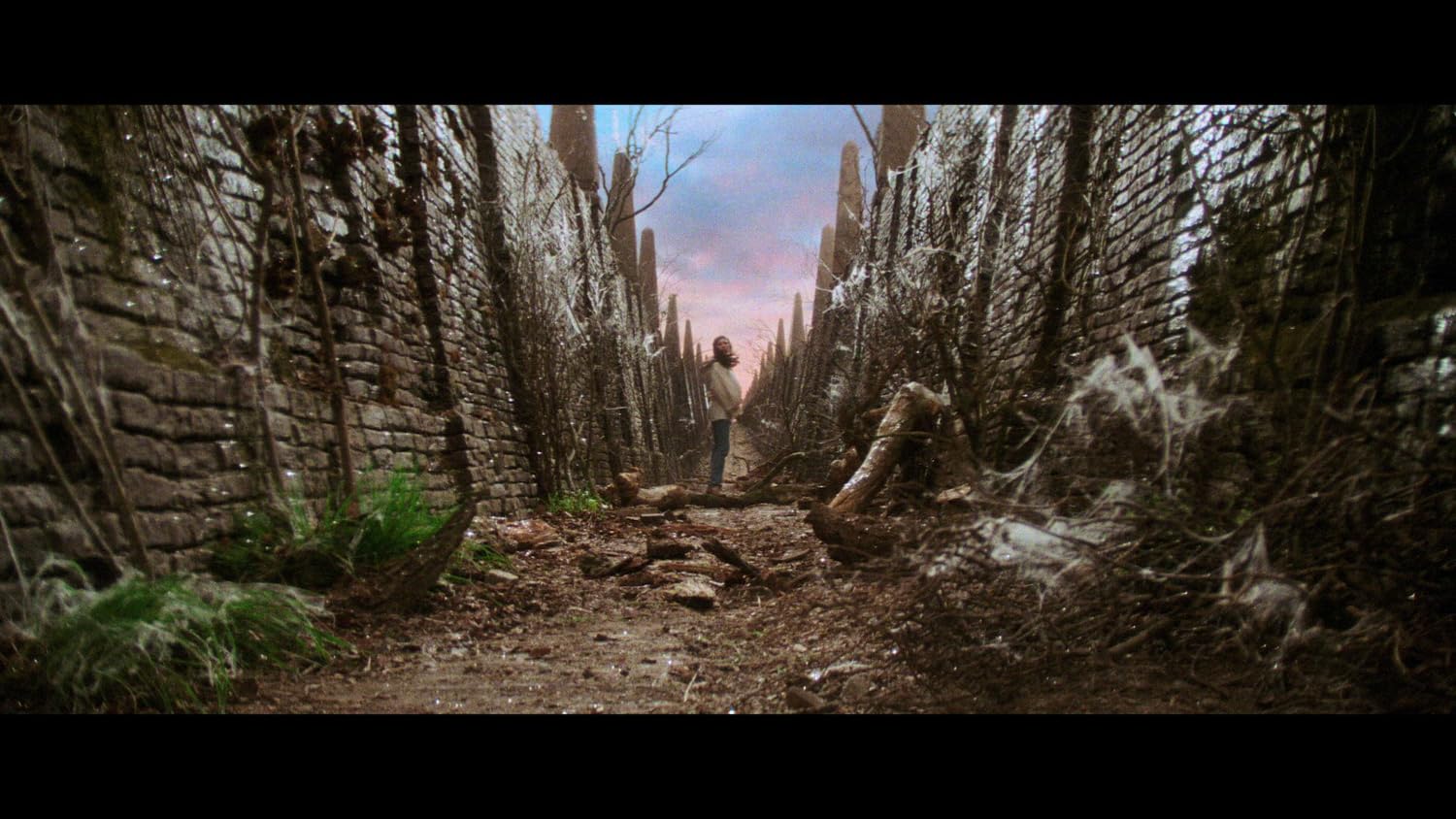 Die Reise ins Labyrinth (Steelbook, 4K-UHD+2 Blu-rays - Image 4