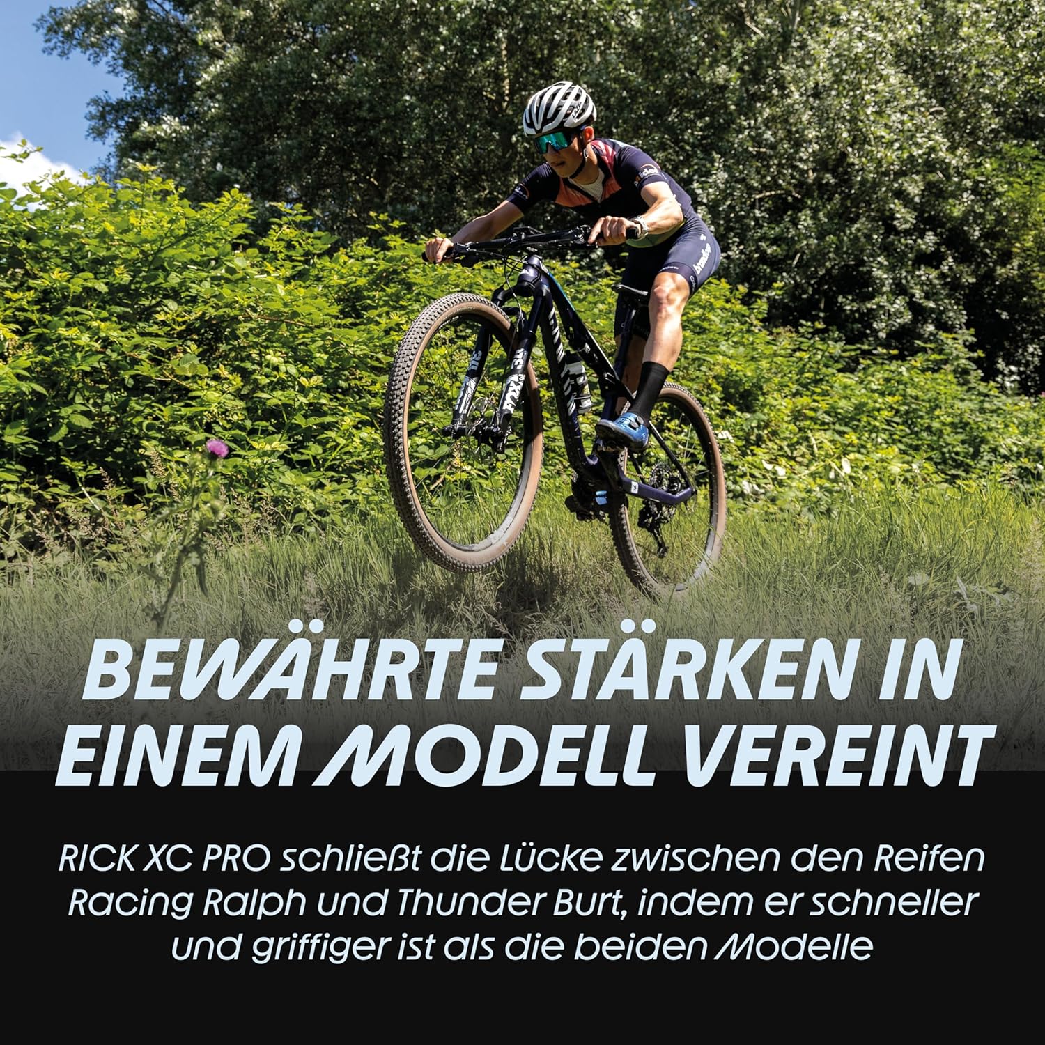 SCHWALBE Rick Evo, XC PRO, TLR - Image 4