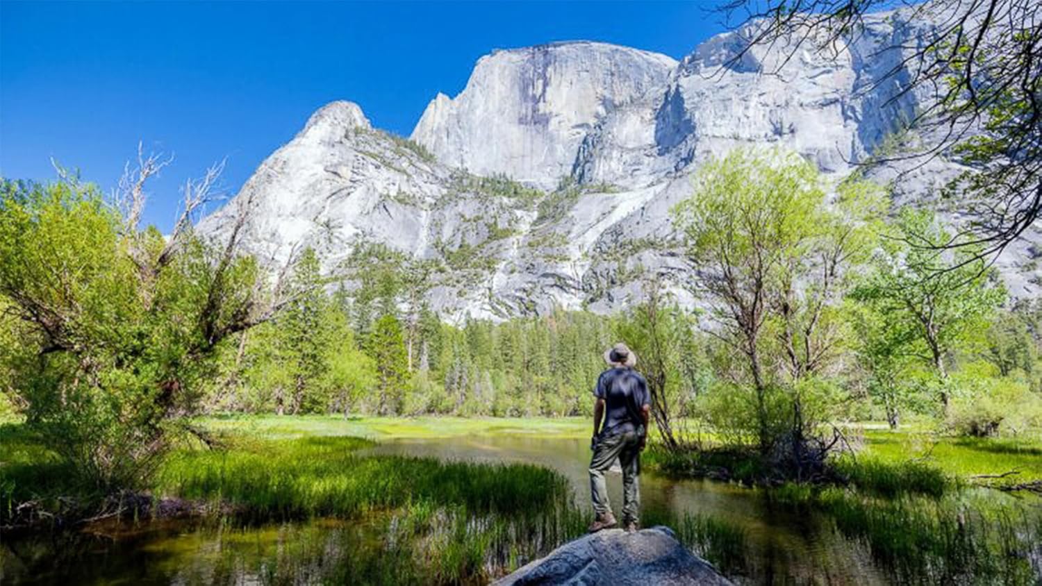 Natrlich Verliebt - Marry Me In Yosemite - Image 2