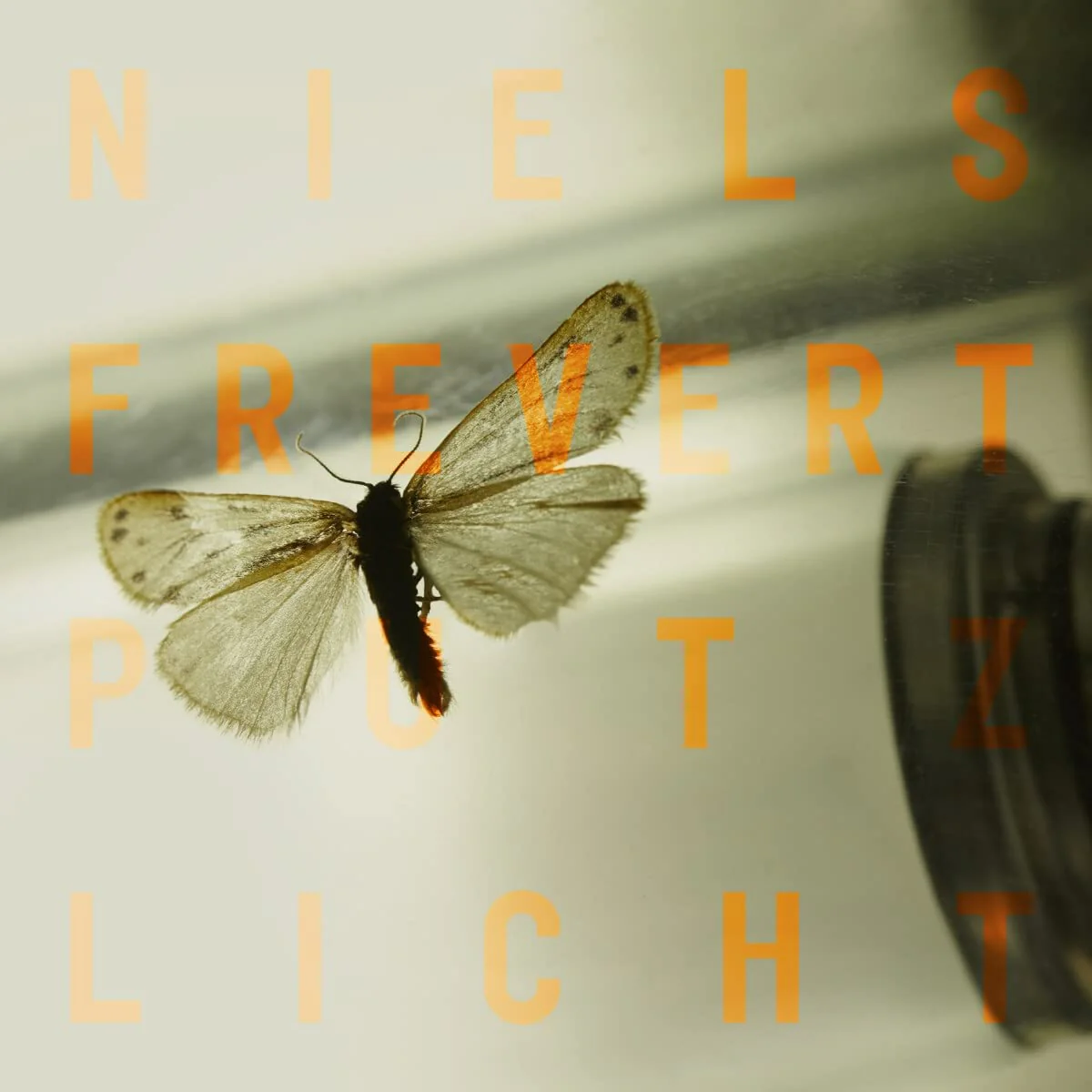 PUTZLICHT (SCHWARZES 180G VINYL)