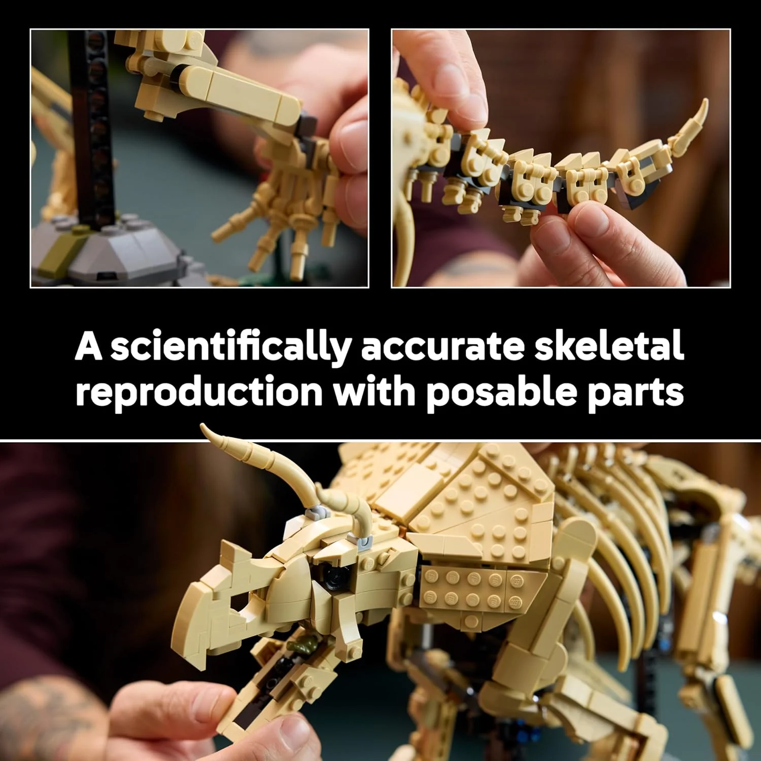 LEGO Jurassic World Dinosaur Fossils: Triceratops - Display Model Kit for Adults w/Dr. Gerry Harding Minifigure - DIY Shelf Decor - Gift for Jurassic Park Fans - 77985 - Image 4