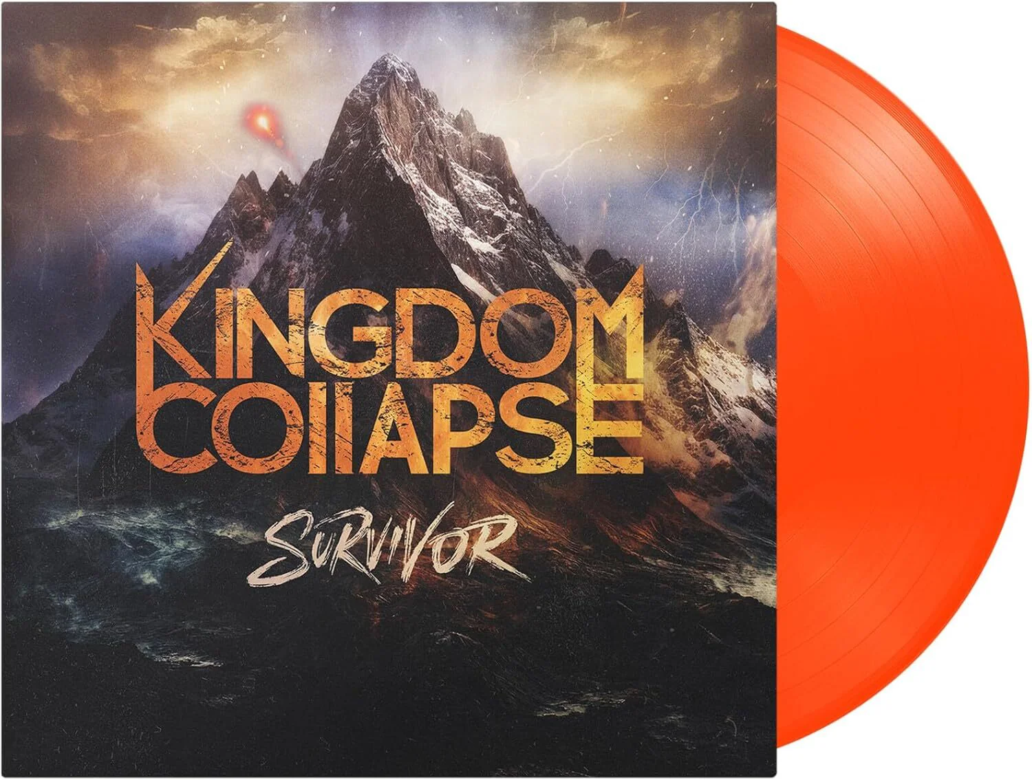 Survivor - Image 2