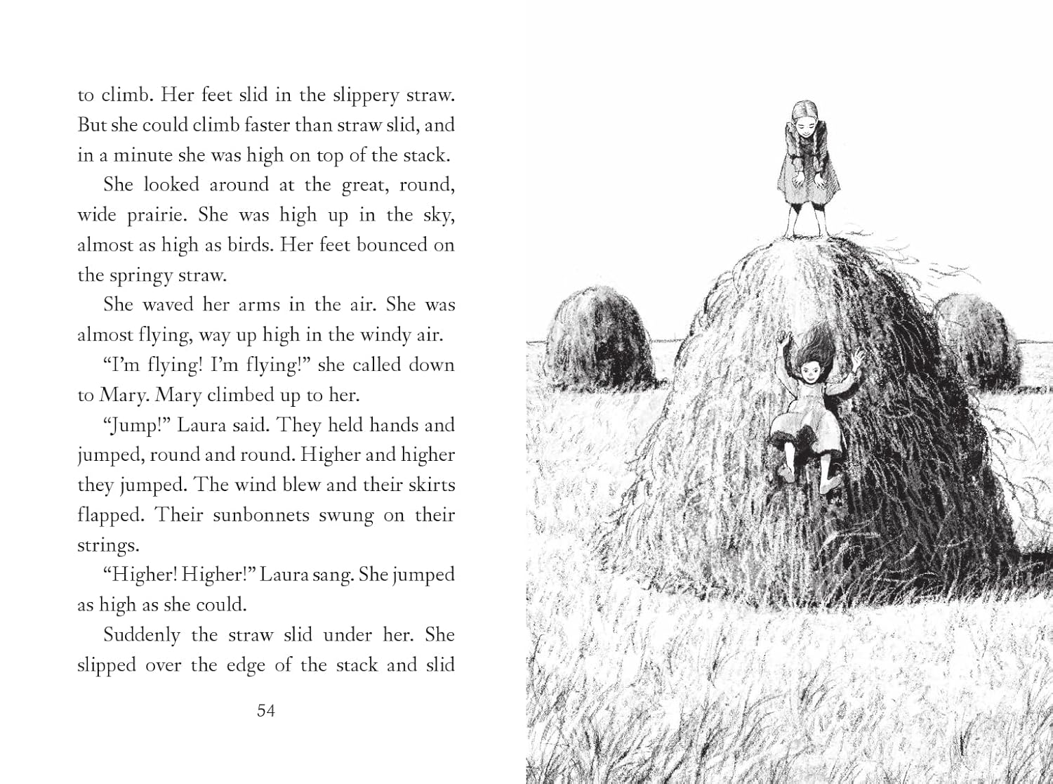 A Little House Chapter Book Collection: Stories of Family: Pioneer Sisters, Christmas Stories, School Days - Image 2