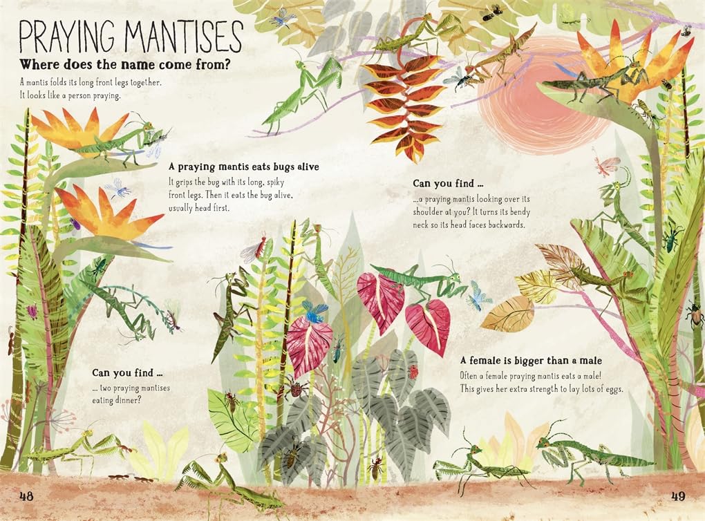 The Big Book of Bugs: 10th Anniversary Edition - Image 4