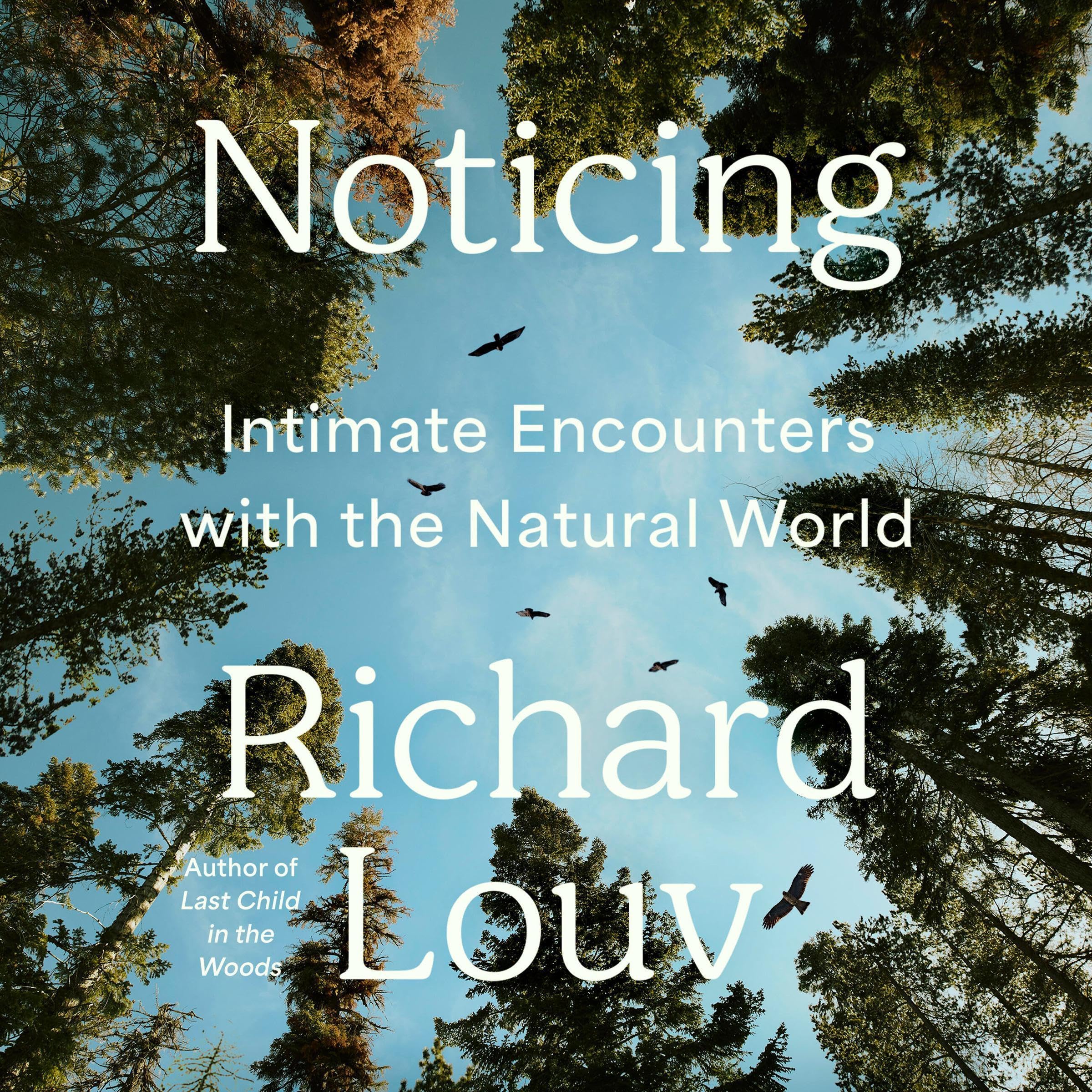 Noticing: Intimate Encounters With the Natural World