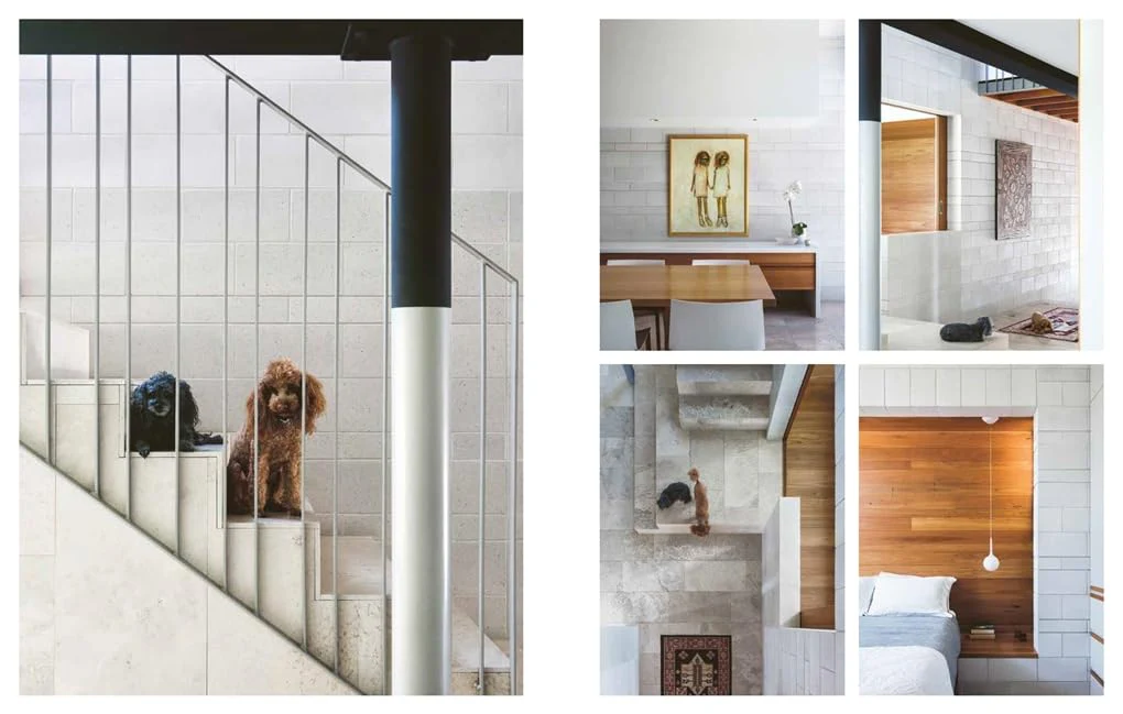 Resident Dog Incredible Homes and the Dogs That Live There /anglais - Image 4