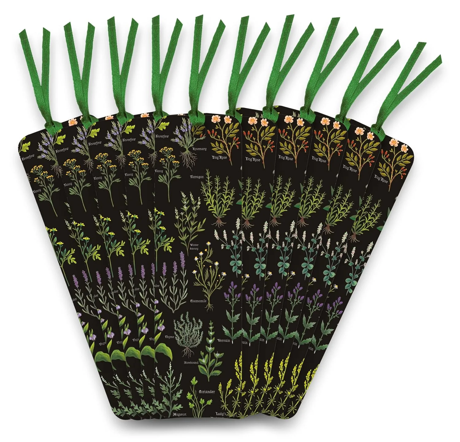 Anna Stead: A Medieval Herbal Bookmarks (pack of 10) (Flame Tree Bookmarks (Foiled - Image 2