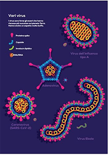 Immune. Viaggio nel misterioso sistema che ci tiene in vita - Image 3