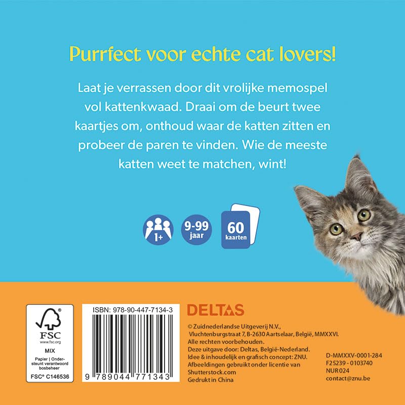 Match the cats! - Memospel - Image 2