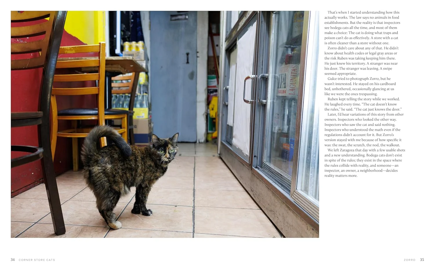 Bodega Cats of New York: Portraits and Stories from New York City's Working Cats - Image 6
