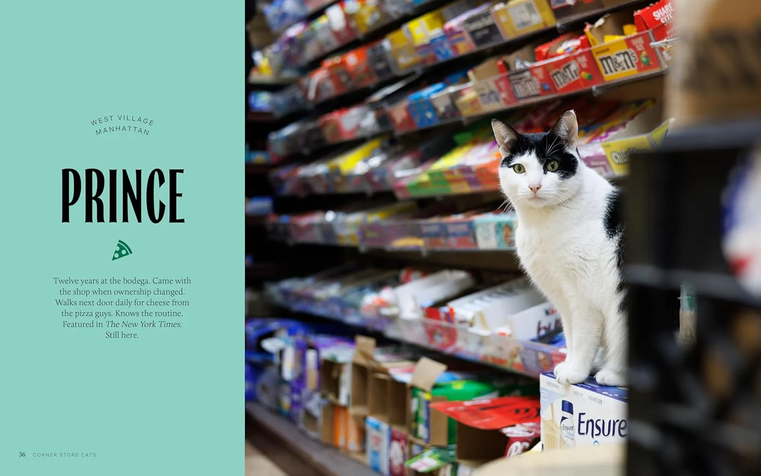 Bodega Cats of New York: Portraits and Stories from New York City's Working Cats - Image 8